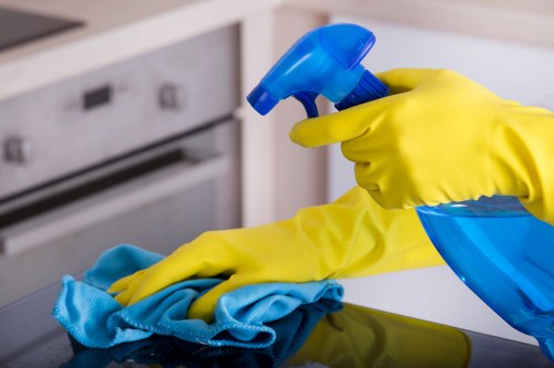 Clean oven interior after professional grease removal