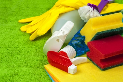 Bathroom sanitizing as part of Soho domestic cleaning service