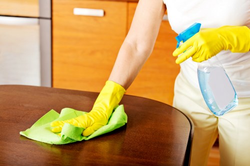 Cleaning product bottle and safety label displayed